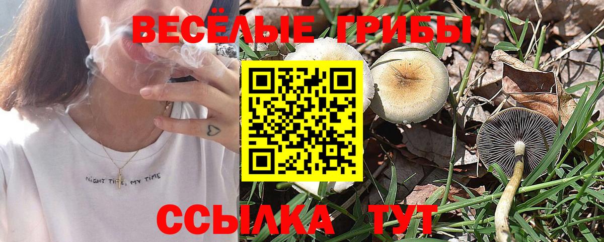 Галлюциногенные грибы мухоморы Кыштым